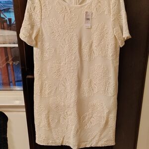 LOFT Cream Embroidered Lace Leaf Design Mini Dress. NWT